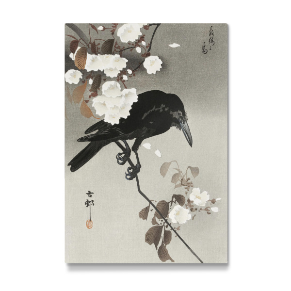 Galerie-Print "Krähe und Kirschblüte" 30x20 cm artboxONE