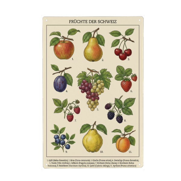 Holzbild "Früchte der Schweiz" artboxONE - Essen & Trinken / Obst & Gemüse