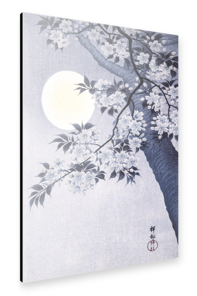 Alu-Dibond "Blossoming Cherry" 75x50 cm artboxONE