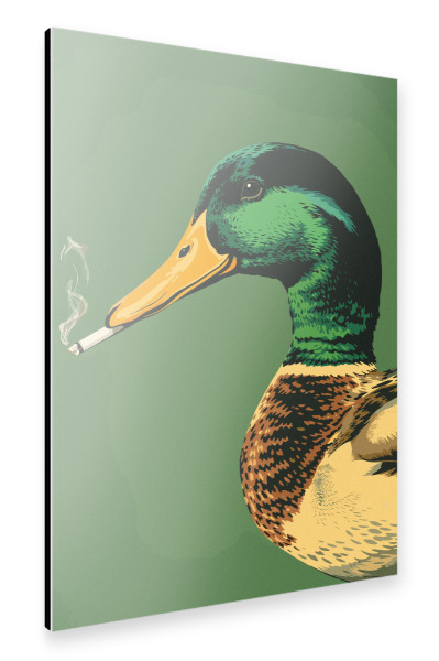 Alu-Dibond "The Sophisticated Mallard" 30x20 cm artboxONE