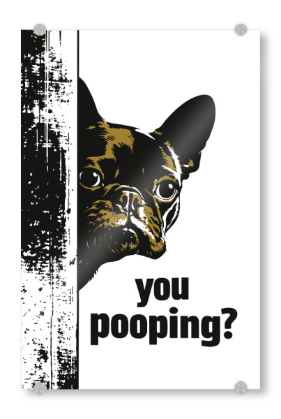 Acrylglasbild "Curious Bathroom Companion" artboxONE - Typografie,Tiere,Lustig