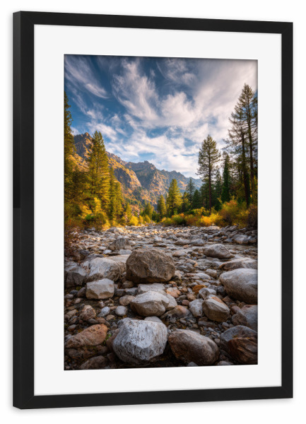 Poster mit Rahmen schwarz "Steiniges Flussbett & Föhrenwald" artboxONE - Natur