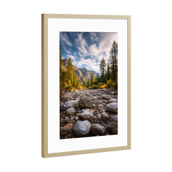 Poster mit Rahmen Gold "Steiniges Flussbett & Föhrenwald" artboxONE - Natur