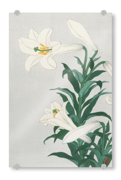 Acrylglasbild "Lilien von Ohara Koson" artboxONE - Natur,Floral
