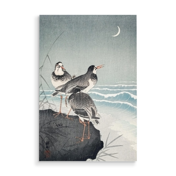 Holzbild "Scharfschützen am Ufer" artboxONE - Natur,Tiere,Für Mama