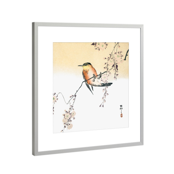 Poster mit Rahmen Silber "Singvogel und blühende Kirsche" artboxONE - Natur,Tiere,Für Mama