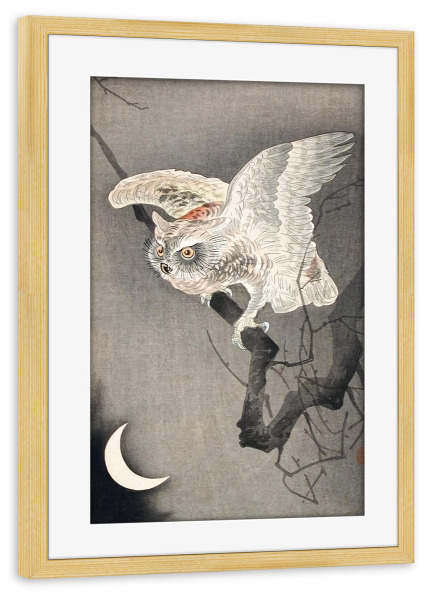 Poster mit Rahmen kiefer "Zwergohreule im Mondlicht" artboxONE - Natur,Tiere,Für Mama