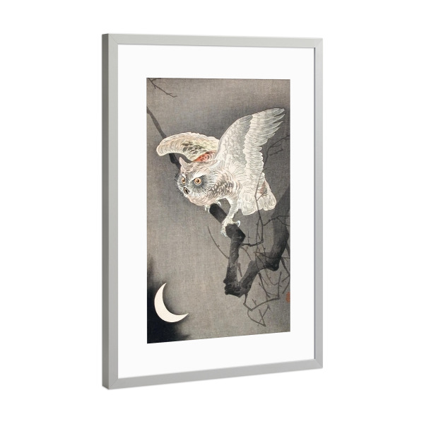 Poster mit Rahmen Silber "Zwergohreule im Mondlicht" artboxONE - Natur,Tiere,Für Mama