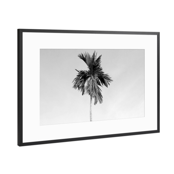 Poster mit Rahmen Schwarz (Metallic) "Ne schwarzweiße Palme" artboxONE - Floral,Schwarzweiß,Reise / Strand und Meer,Reise / Afrika,Reise / Asien
