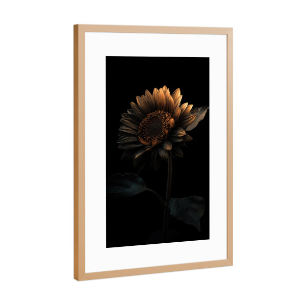 Poster mit Rahmen Kupfer "Sonnenblume Wandbild" artboxONE - Floral