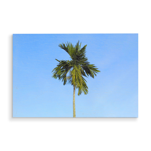 Holzbild "Ne Palme" artboxONE - Reise,Floral,Reise / Afrika,Reise / Asien,Reise / Länder