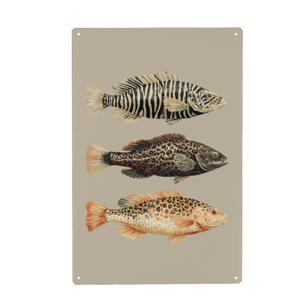 Holzbild "Safari Fische" artboxONE - Natur,Tiere,Lustig