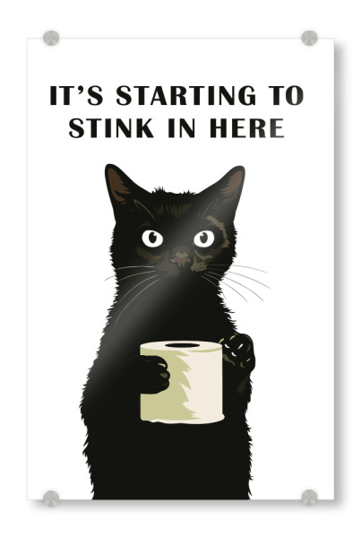 Acrylglasbild "Stinky Cat Bathroom Art" artboxONE - Tiere,Lustig