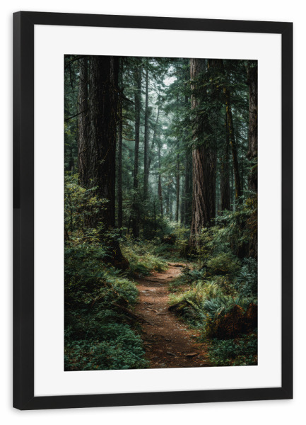 Poster mit Rahmen schwarz "Mystischer Pfad durch den Wald" artboxONE - Natur,Reise