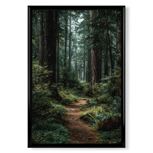 Mystischer Pfad durch den Wald