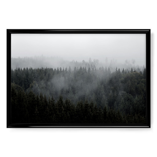 Schwarzwald Berge Nebel Schwarzwald Berge Nebel