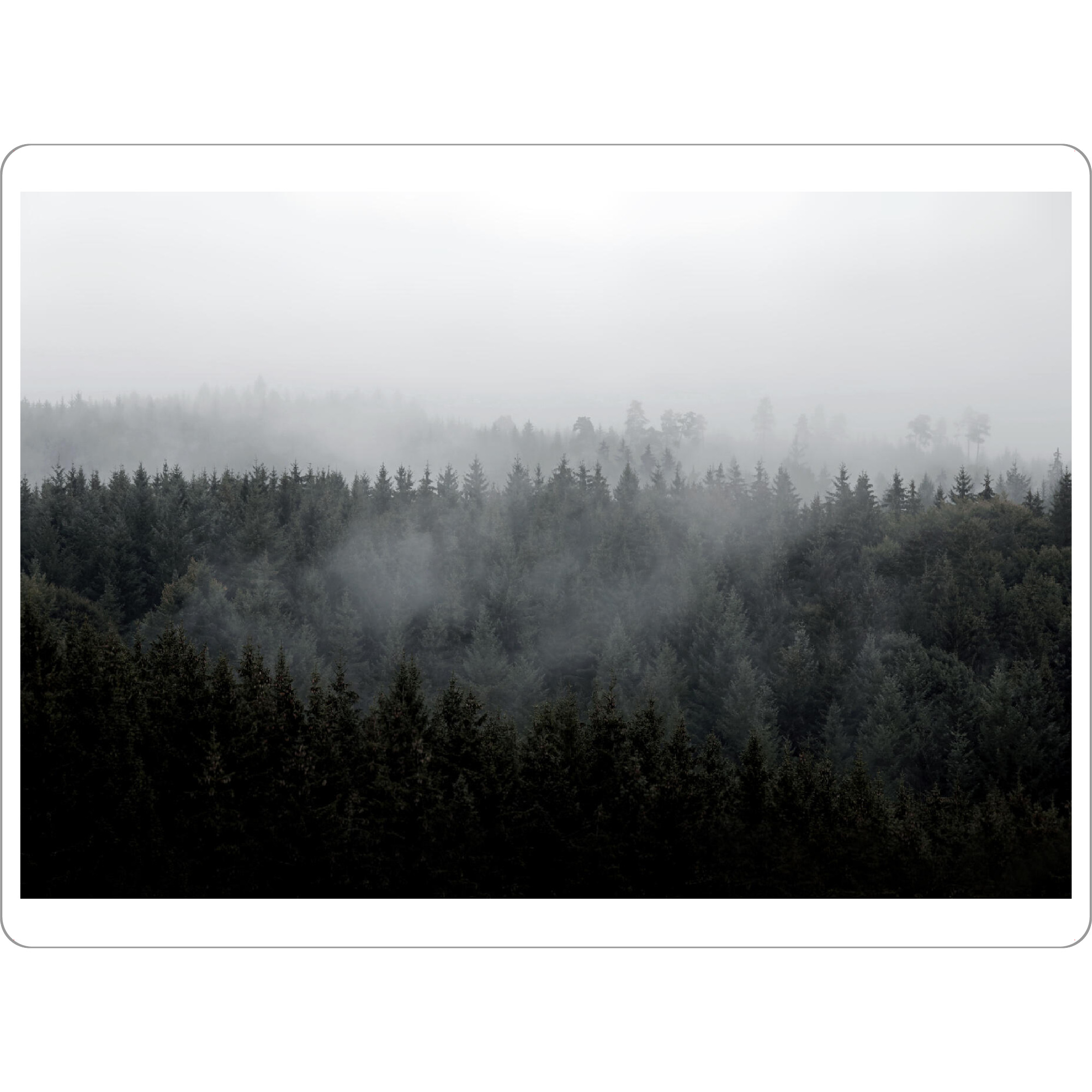 Tischset "Schwarzwald Berge Nebel" artboxONE - Natur,Floral,Schwarzweiß