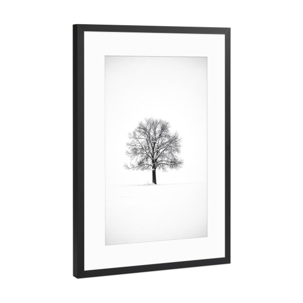 Poster mit Rahmen Schwarz (Metallic) "Einsamer Baum im Schnee" artboxONE - Natur
