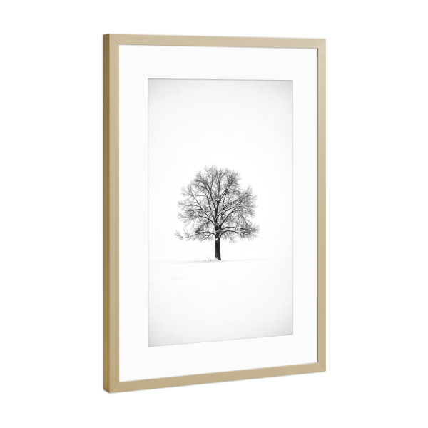 Poster mit Rahmen Gold "Einsamer Baum im Schnee" artboxONE - Natur
