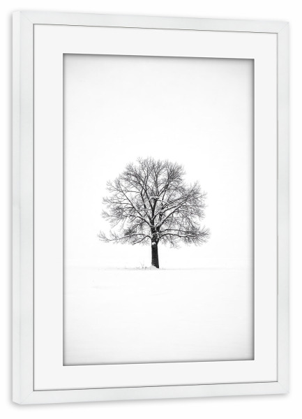 Poster mit Rahmen weiß "Einsamer Baum im Schnee" artboxONE - Natur