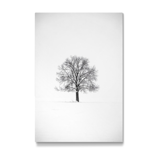 Galerie-Print "Einsamer Baum im Schnee" 30x20 cm artboxONE