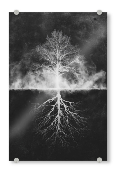 Acrylglasbild "Wurzeln der Energie" artboxONE - Natur,Abstrakt,Menschen