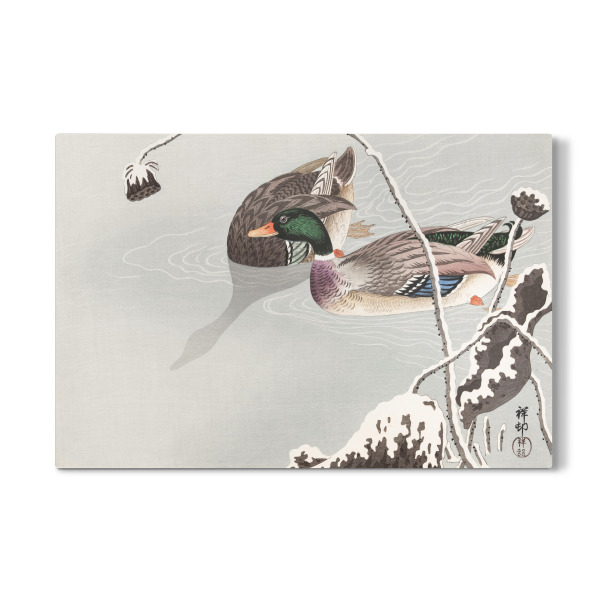 Galerie-Print "Zwei Stockenten" 30x20 cm artboxONE
