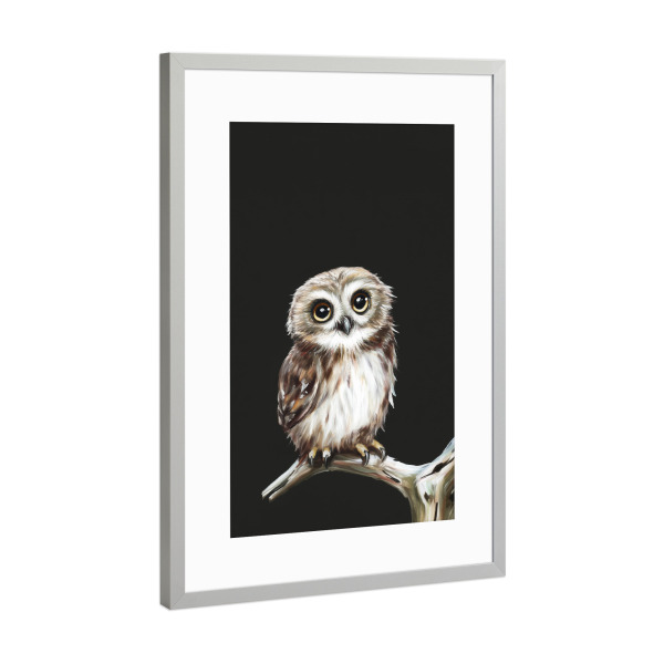 Poster mit Rahmen Silber "Eulen Wächter der Nacht" artboxONE - Natur,Tiere,Lustig