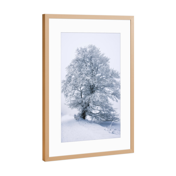Poster mit Rahmen Kupfer "Zauberhafter Winter" artboxONE - Natur,Reise,Floral,Schwarzweiß,Weihnachten