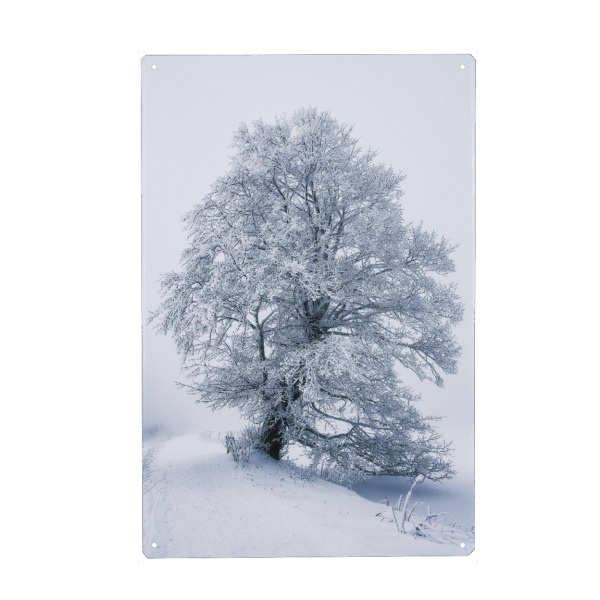Metall Poster "Zauberhafter Winter" artboxONE - Natur,Reise,Floral,Schwarzweiß,Weihnachten