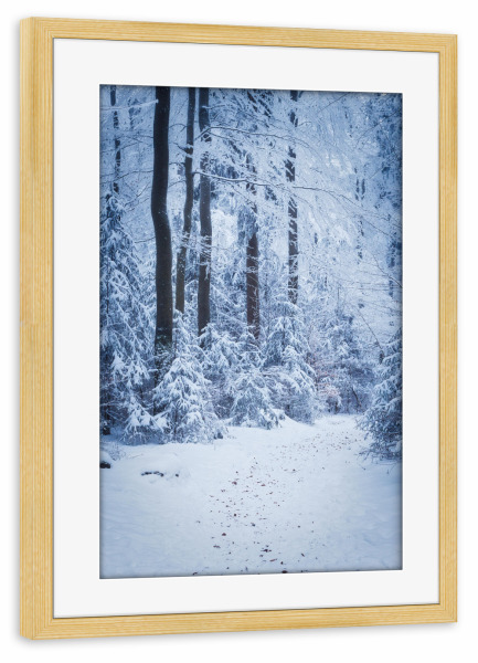 Poster mit Rahmen kiefer "Waldspaziergang im Winter" artboxONE - Natur,Reise,Floral,Weihnachten