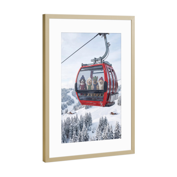 Poster mit Rahmen Gold "Hunde in einer Seilbahn" artboxONE - Tiere,Comic,Lustig - Seilbahn,Skifahren,Ski,Skigebiet,Hunde,Haustiere,Surreal,Lustig