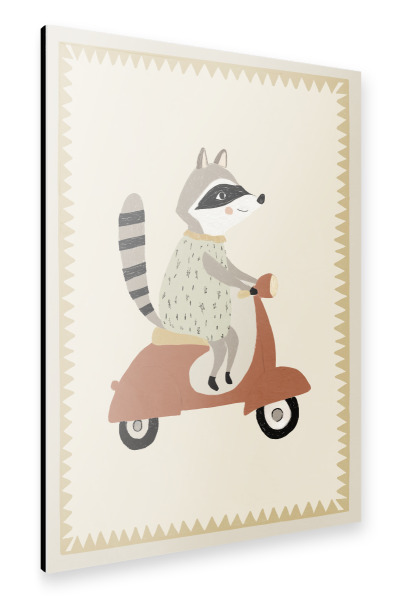 Alu-Dibond "Driving Raccoon" 30x20 cm artboxONE