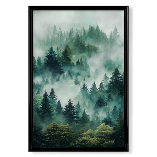 Mysterious Pine Tree Tops