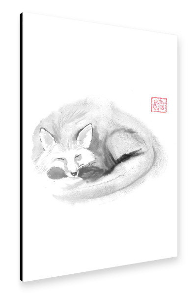 Alu-Dibond "Sleeping fox" 75x50 cm artboxONE