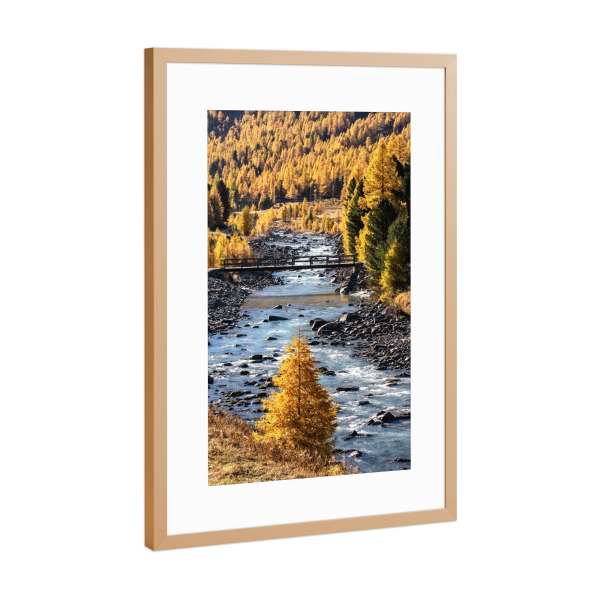 Poster mit Rahmen Kupfer "Goldener Oktober im Engadin" artboxONE - Natur,Reise,Reise / Länder