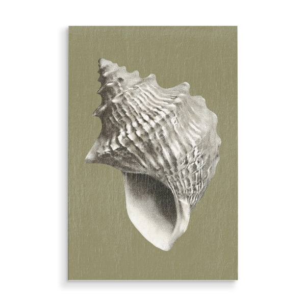 Holzbild "Ozean Muschel Vintage" artboxONE - Natur,Reise / Strand und Meer