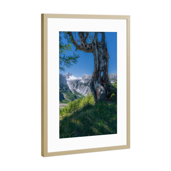 Poster mit Rahmen Gold "Slemenova špica" artboxONE - Natur,Reise - Slowenien,Natur,Landschaft,Berge,Alpen,Wandern,Baum,Ausblick