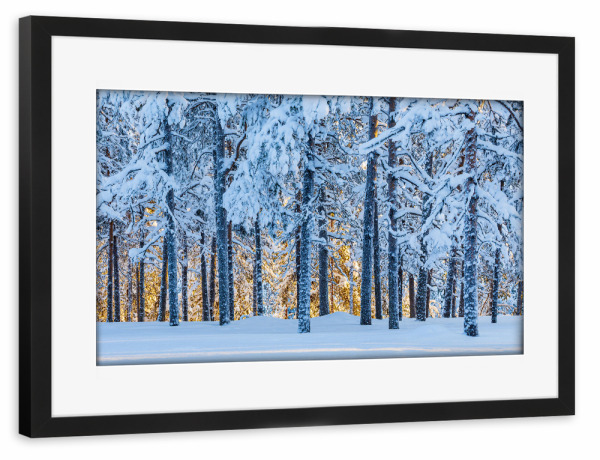 Poster mit Rahmen schwarz "Sonnenuntergang und Wald" artboxONE - Natur,Reise,Reise / Länder