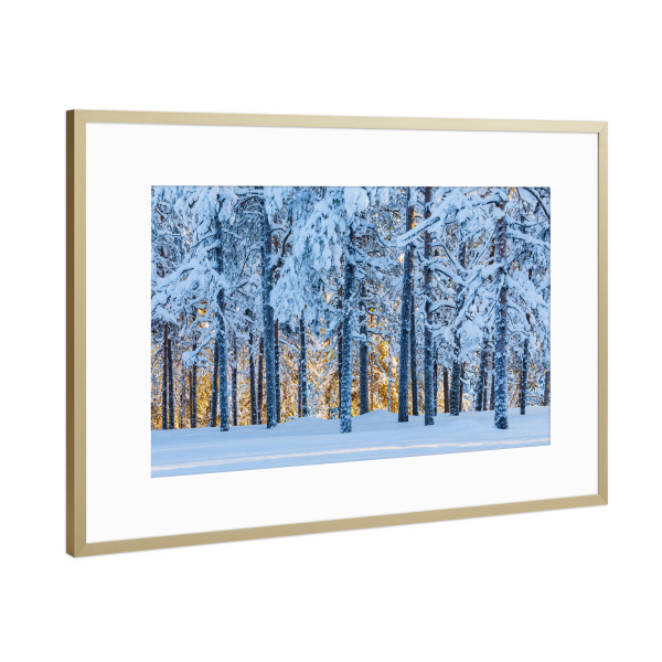 Poster mit Rahmen Gold "Sonnenuntergang und Wald" artboxONE - Natur,Reise,Reise / Länder