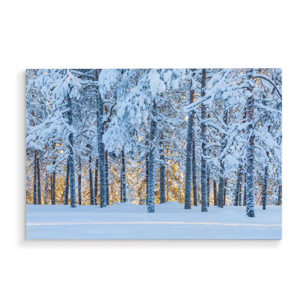 Holzbild "Sonnenuntergang und Wald" artboxONE - Natur,Reise,Reise / Länder