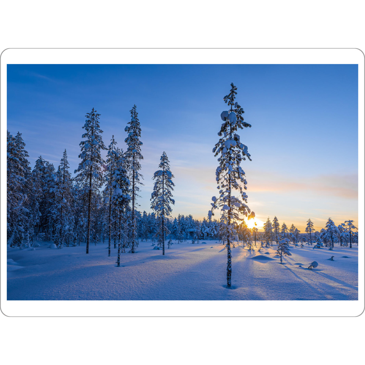 Tischset "Wald in Äkäslompolo" artboxONE - Natur,Reise,Reise / Länder