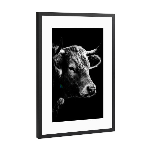 Poster mit Rahmen Schwarz (Metallic) "Schwarz-weiß Kuh Portrait" artboxONE - Tiere,Schwarzweiß
