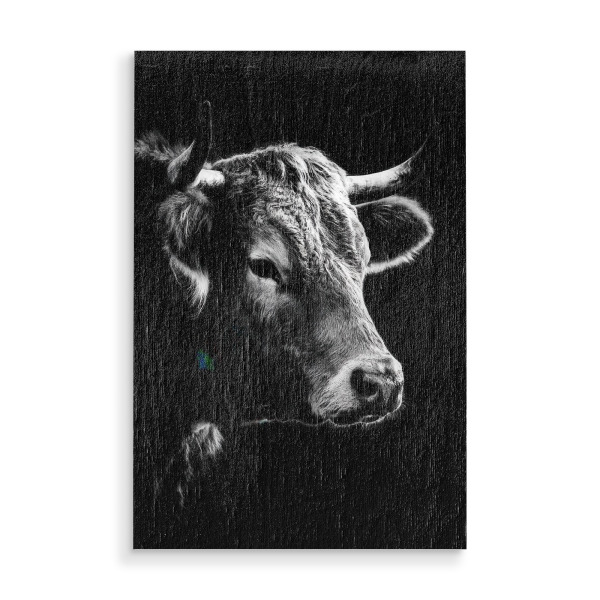 Holzbild "Schwarz-weiß Kuh Portrait" artboxONE - Tiere,Schwarzweiß