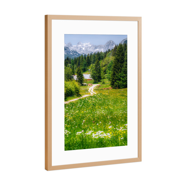 Poster mit Rahmen Kupfer "Uskovnica" artboxONE - Natur,Reise - Wiese,Natur,Landschaft,Slowenien,Berge,Alpen,Alm,Frühling,Blumen