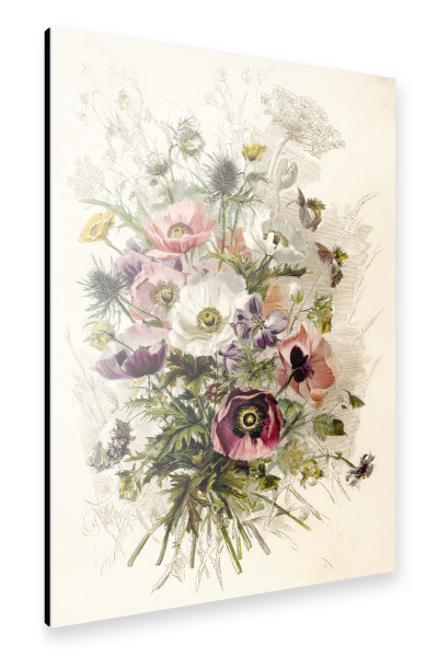 Alu-Dibond "Vintage Botanik Blumen" 75x50 cm artboxONE