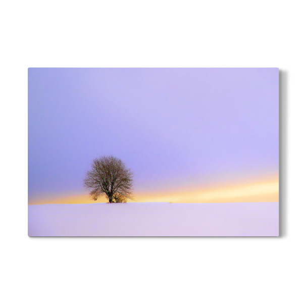 Galerie-Print "Nur ein Baum" 30x20 cm artboxONE