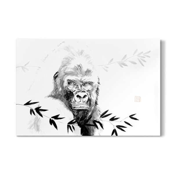 Galerie-Print "Gorilla beringei beringei" 75x50 cm artboxONE