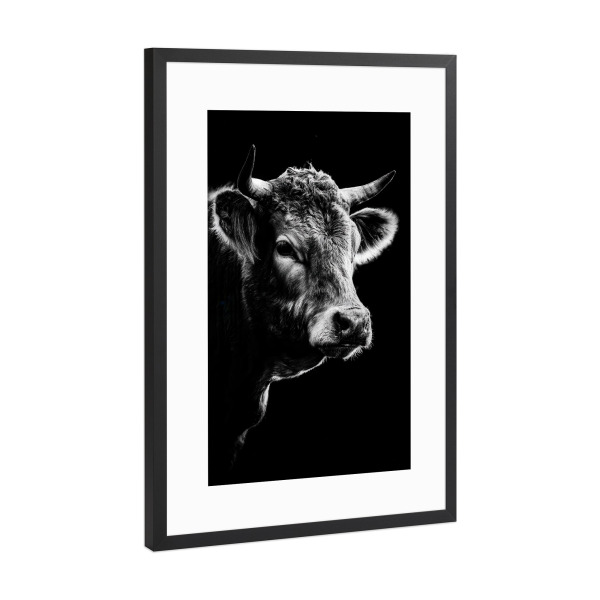Poster mit Rahmen Schwarz (Metallic) "Mystic Cow – Kuh Portrait" artboxONE - Tiere,Schwarzweiß