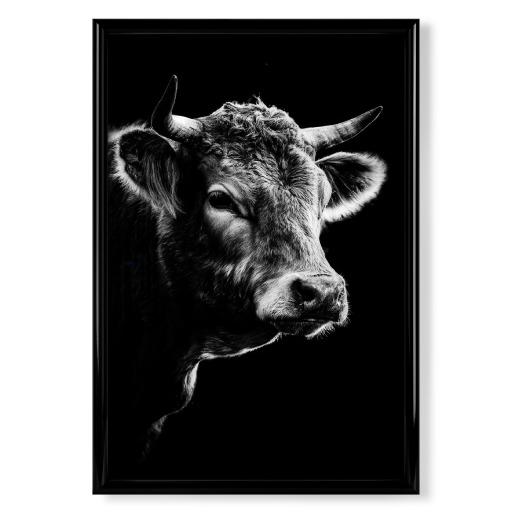 Mystic Cow – Kuh Portrait